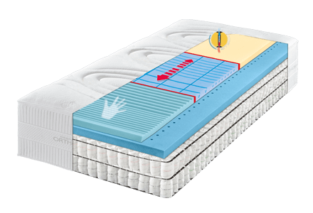 bs-1000