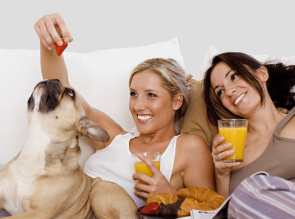 Fleckschutz für Ihre Polstermöbel | Polster Aktuell